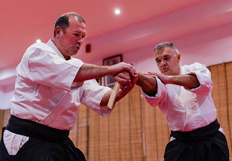 Objetivos del aikido
